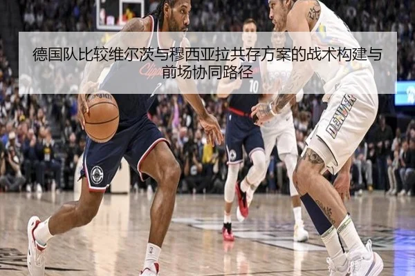 德国队比较维尔茨与穆西亚拉共存方案的战术构建与前场协同路径